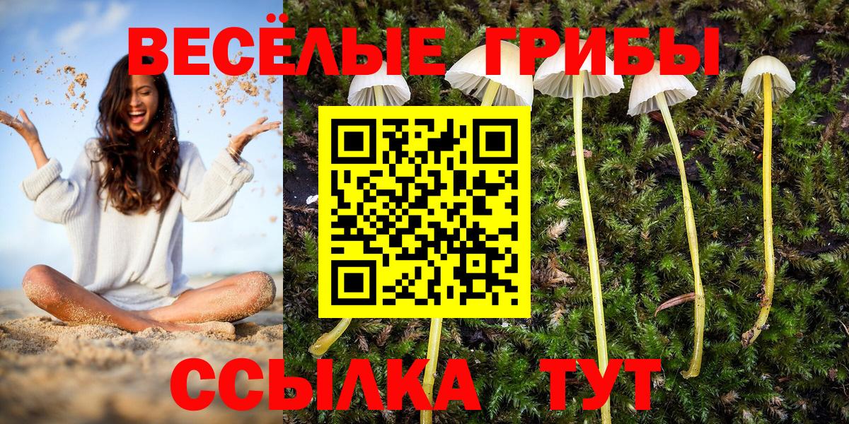Галлюциногенные грибы ЛСД  закладки  Новоуральск  Вход с VPN  Галлюциногенные грибы Magic Shrooms 
