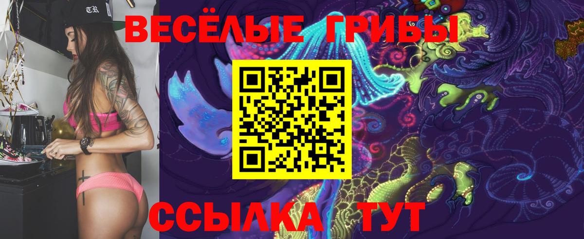 Псилоцибиновые грибы Cubensis Новоуральск